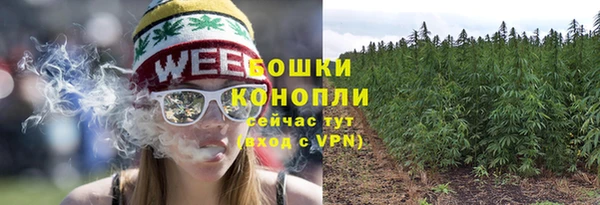 ПСИЛОЦИБИНОВЫЕ ГРИБЫ Михайловск