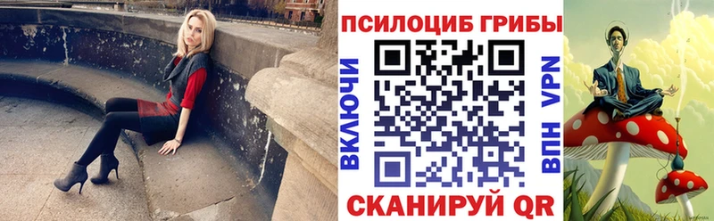 Галлюциногенные грибы Psilocybine cubensis  Миасс 